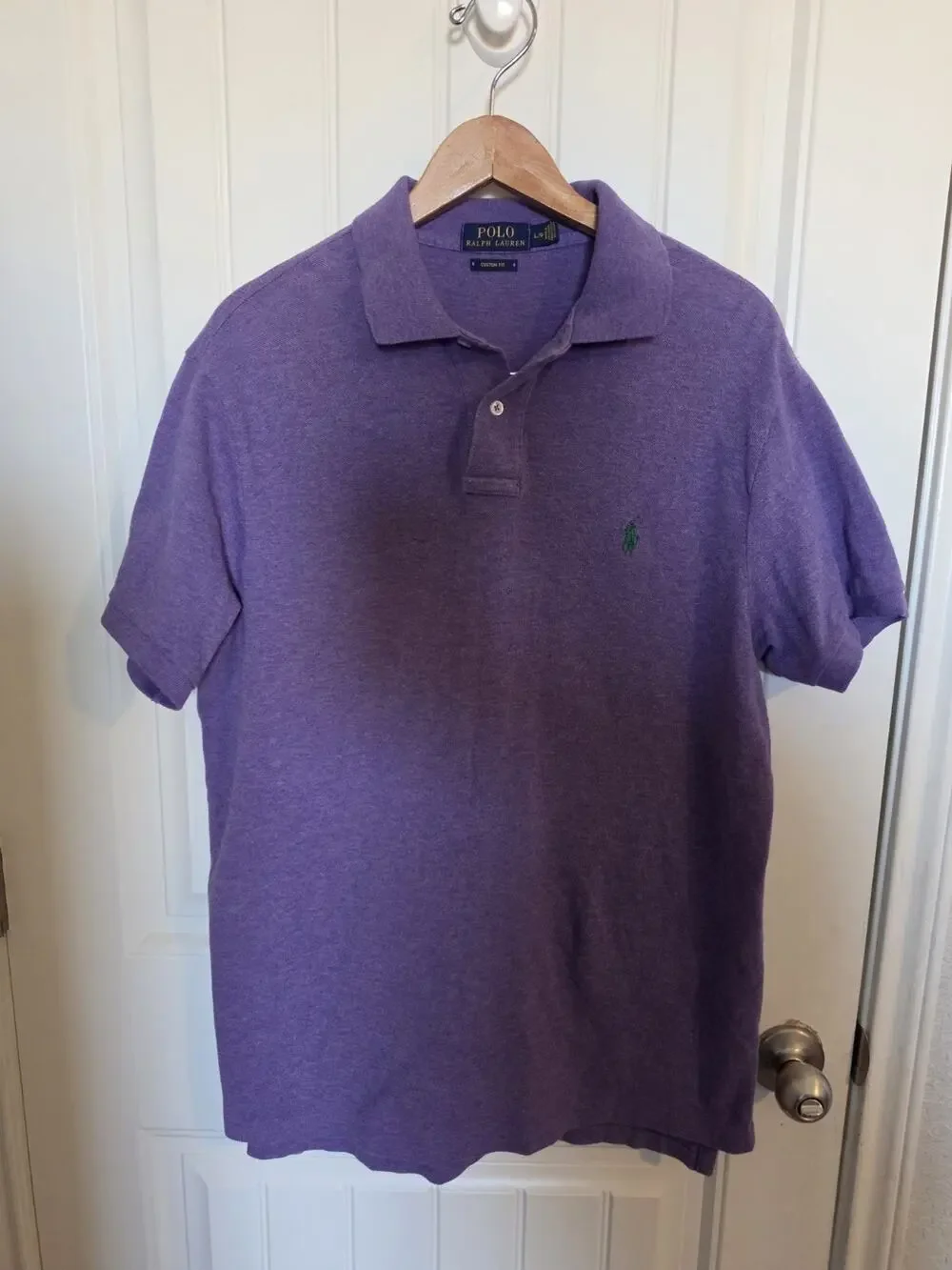 Polo Ralph Lauren Men's Large Purple Green Pony Short Sleeve Polo Preppy Golf